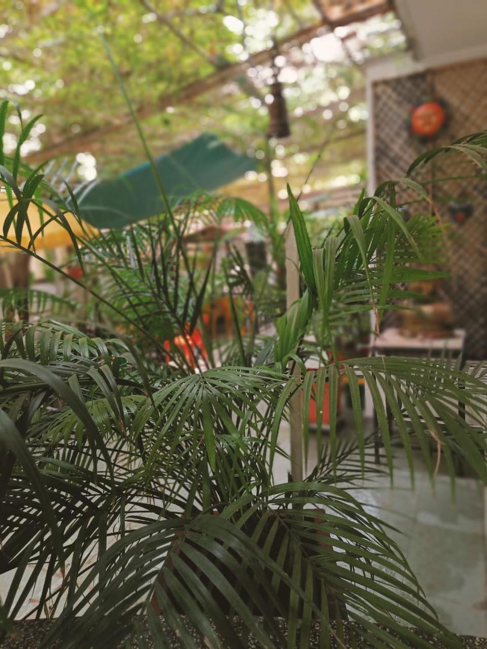 Srinekatan Heritage Villa Homestay アーメダバード エクステリア 写真