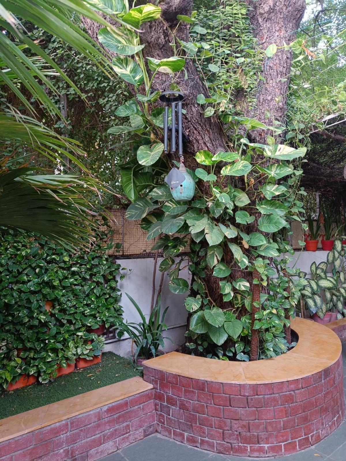 Srinekatan Heritage Villa Homestay アーメダバード エクステリア 写真